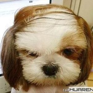 Meet your Posher, Quinn